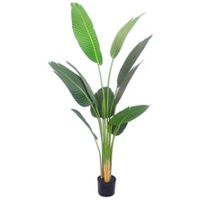 Load image into Gallery viewer, Feeling Good Tropical Palm Tree