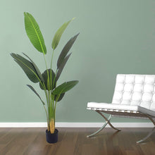 Load image into Gallery viewer, Feeling Good Tropical Palm Tree