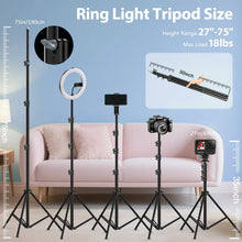 Load image into Gallery viewer, 22'' Ring Light with 75'' Tripod Stand, LED Display/2 USB Ports/6500K Dimmable Ring Light for ipad Phone Holder for Tattoo Lash Live Makeup Video Recording TikTok Barber Stylist Photography
