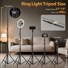 Load image into Gallery viewer, 22'' Ring Light with 75'' Tripod Stand, LED Display/2 USB Ports/6500K Dimmable Ring Light for ipad Phone Holder for Tattoo Lash Live Makeup Video Recording TikTok Barber Stylist Photography