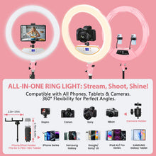 Load image into Gallery viewer, 22'' Ring Light with 75'' Tripod Stand, LED Display/2 USB Ports/6500K Dimmable Ring Light for ipad Phone Holder for Tattoo Lash Live Makeup Video Recording TikTok Barber Stylist Photography