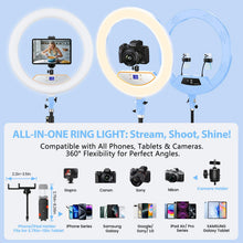 Load image into Gallery viewer, 22'' Ring Light with 75'' Tripod Stand, LED Display/2 USB Ports/6500K Dimmable Ring Light for ipad Phone Holder for Tattoo Lash Live Makeup Video Recording TikTok Barber Stylist Photography