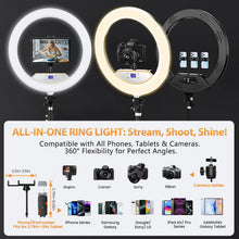 Load image into Gallery viewer, 22'' Ring Light with 75'' Tripod Stand, LED Display/2 USB Ports/6500K Dimmable Ring Light for ipad Phone Holder for Tattoo Lash Live Makeup Video Recording TikTok Barber Stylist Photography