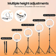 Load image into Gallery viewer, 22'' Ring Light with 75'' Tripod Stand, LED Display/2 USB Ports/6500K Dimmable Ring Light for ipad Phone Holder for Tattoo Lash Live Makeup Video Recording TikTok Barber Stylist Photography