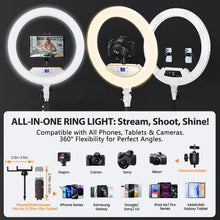 Load image into Gallery viewer, 22'' Ring Light with 75'' Tripod Stand, LED Display/2 USB Ports/6500K Dimmable Ring Light for ipad Phone Holder for Tattoo Lash Live Makeup Video Recording TikTok Barber Stylist Photography