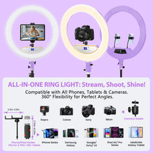 Load image into Gallery viewer, 22'' Ring Light with 75'' Tripod Stand, LED Display/2 USB Ports/6500K Dimmable Ring Light for ipad Phone Holder for Tattoo Lash Live Makeup Video Recording TikTok Barber Stylist Photography